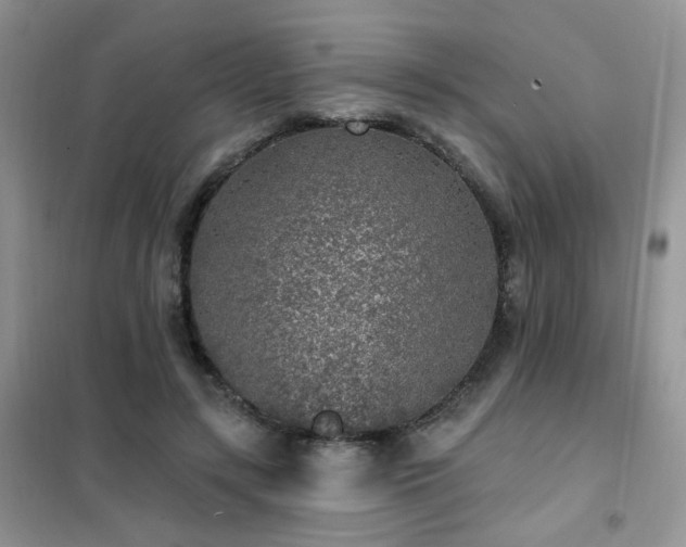 X0000102350547200808011206