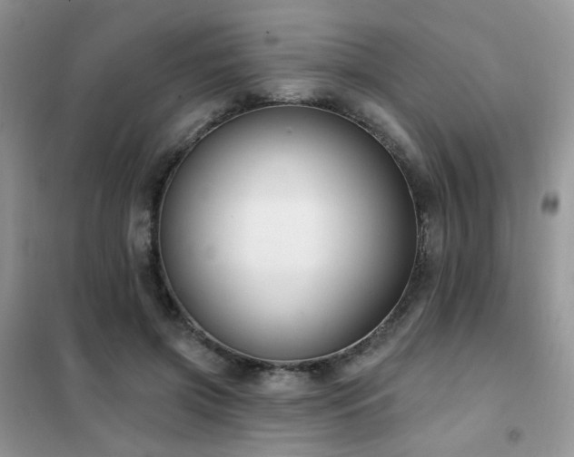 X0000102350549200808011206