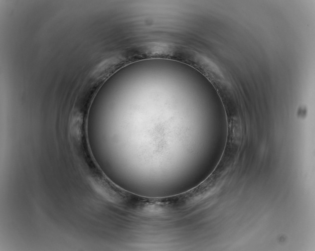 X0000102350550200808011206