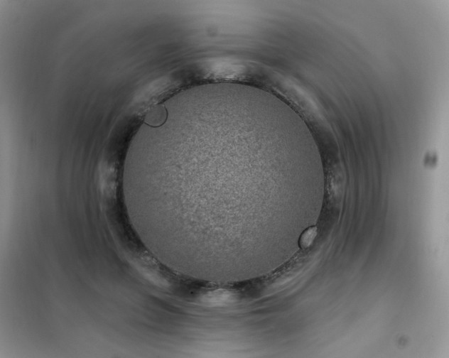 X0000102350551200808011206