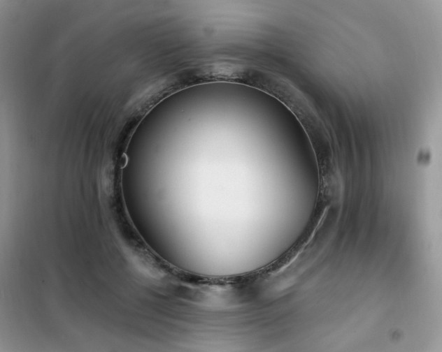 X0000102350552200808011206