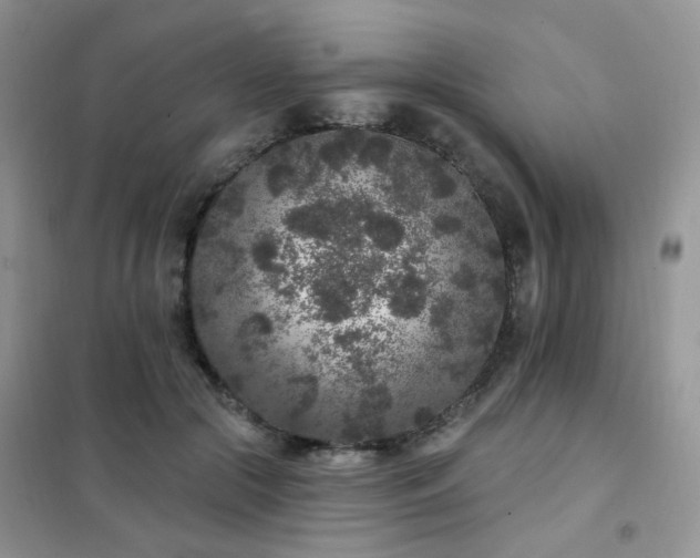 X0000102350553200808011206