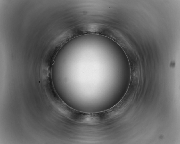 X0000102350555200808011206