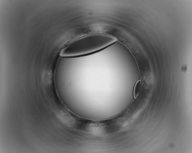 X0000102350556200808011206