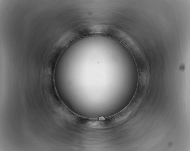 X0000102350557200808011206