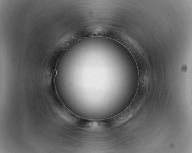 X0000102350558200808011206