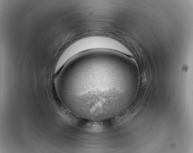 X0000102350559200808011206