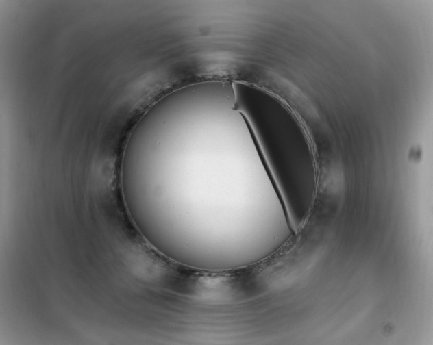 X0000102350560200808011206