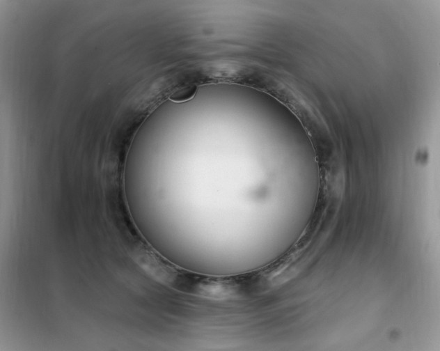 X0000102350561200808011206