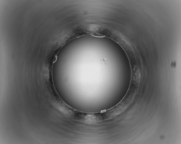 X0000102350562200808011206