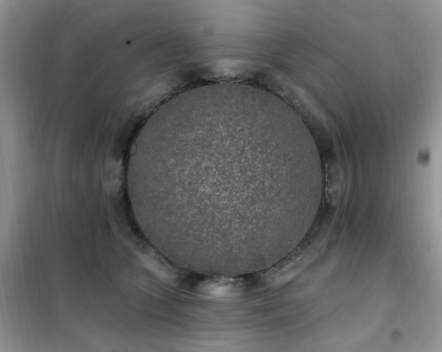 X0000102350563200808011206