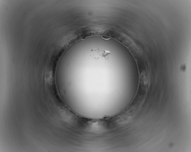 X0000102350564200808011206