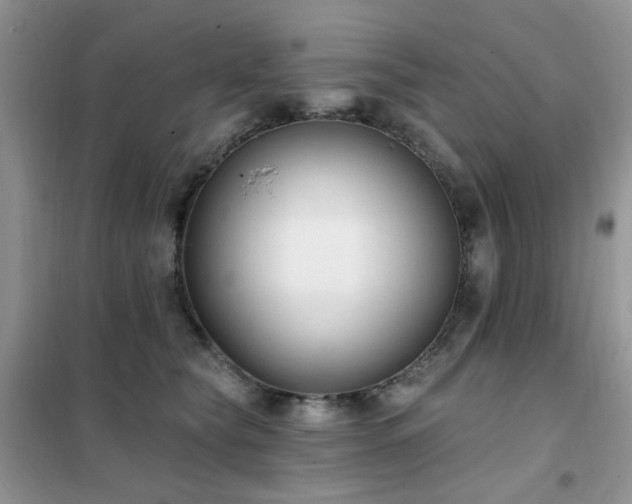 X0000102350565200808011206