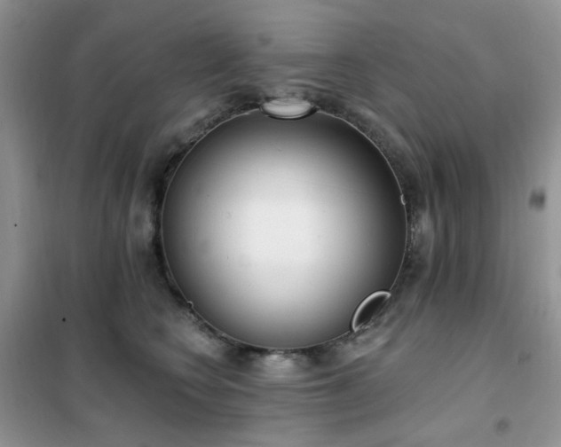 X0000102350566200808011206