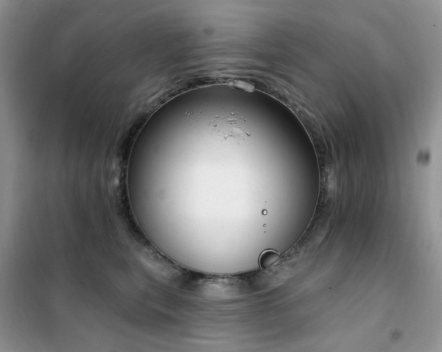 X0000102350567200808011206