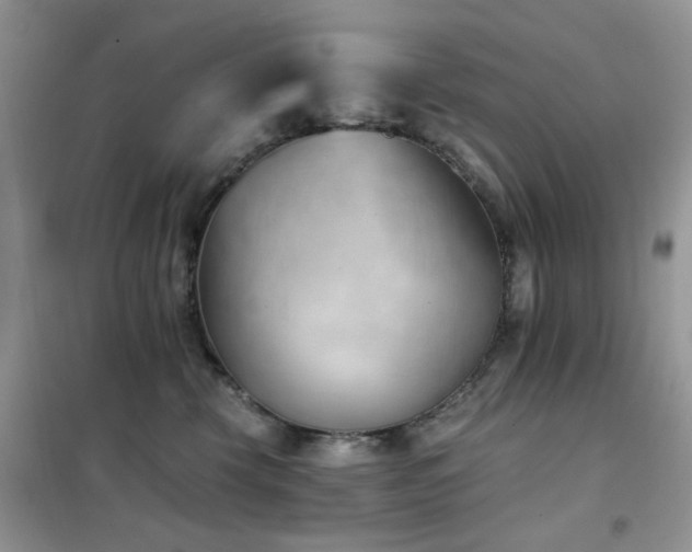 X0000102350569200808011206