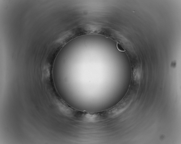 X0000102350570200808011206