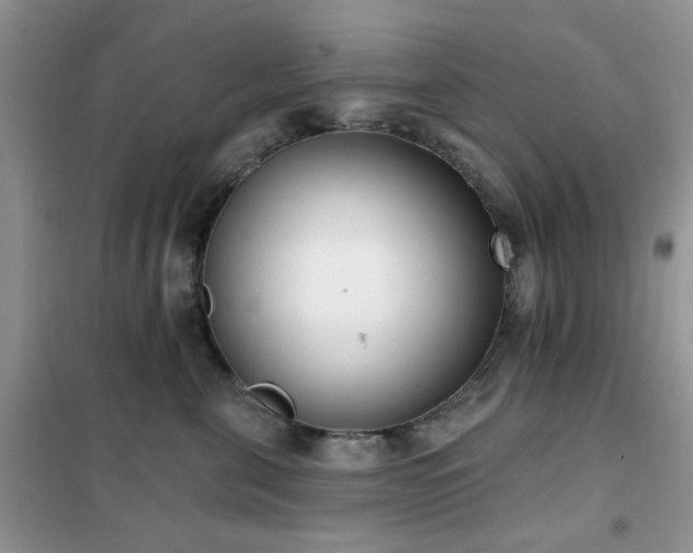 X0000102350571200808011206