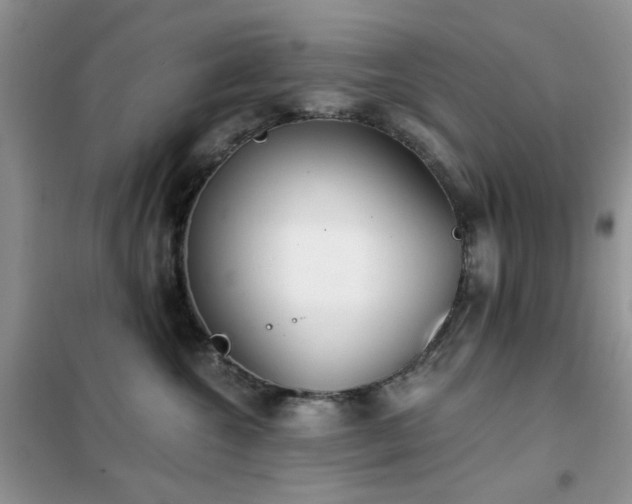 X0000102350572200808011206