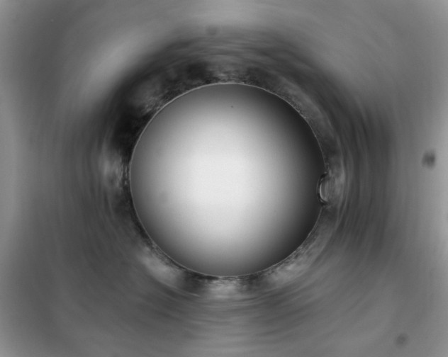 X0000102350574200808011207