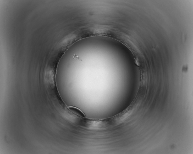 X0000102350575200808011207