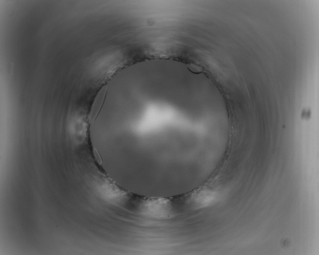 X0000102350576200808011207