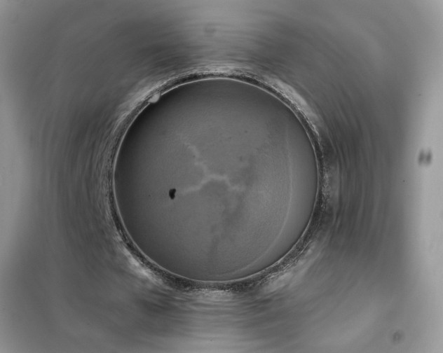 X0000102350577200808011206