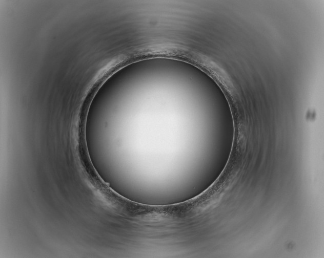 X0000102350578200808011206