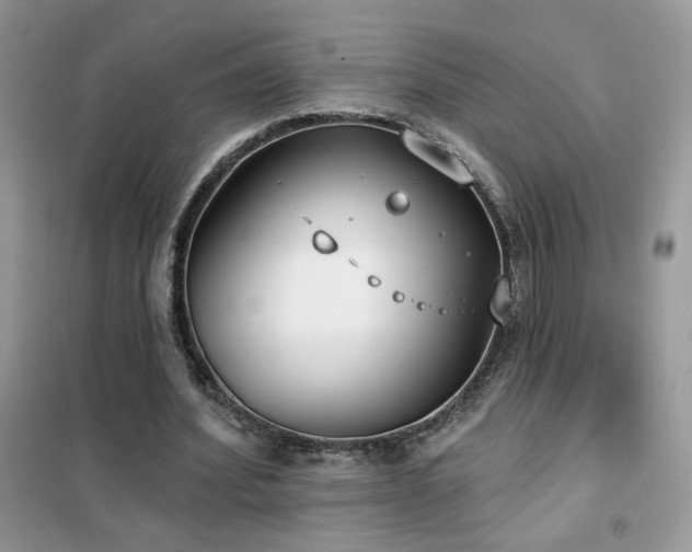 X0000102350580200808011206