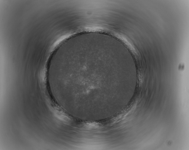 X0000102350583200808011206