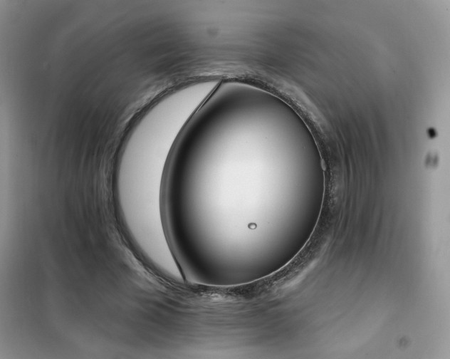 X0000102350585200808011206