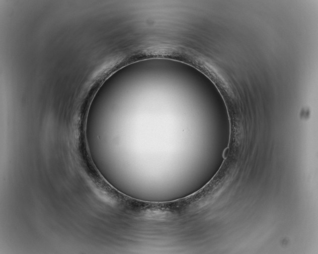 X0000102350586200808011206