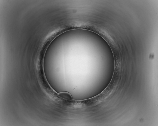 X0000102350587200808011206