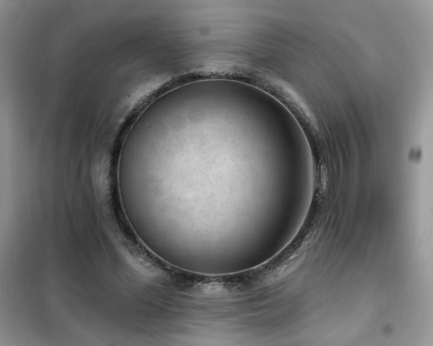 X0000102350588200808011206