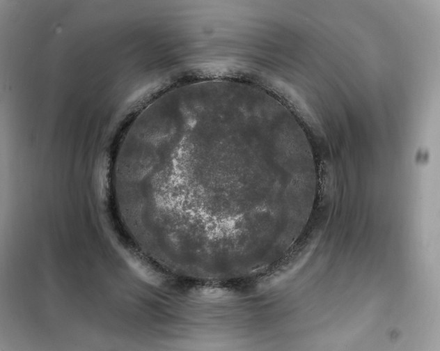 X0000102350590200808011206