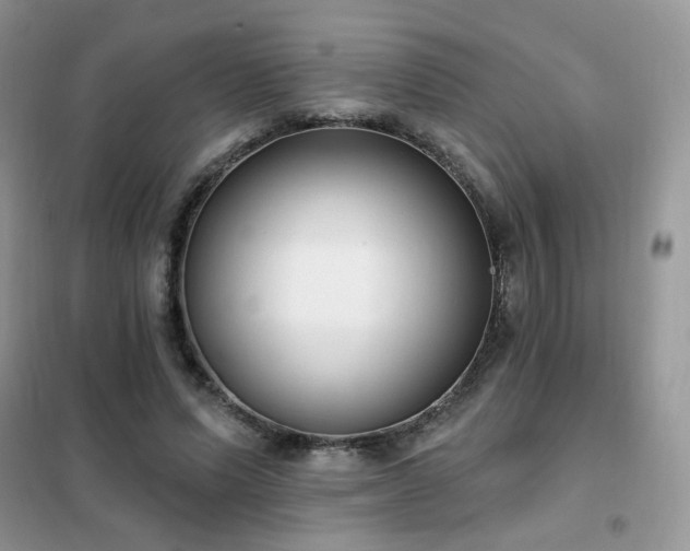 X0000102350591200808011206