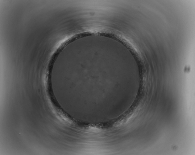 X0000102350592200808011206