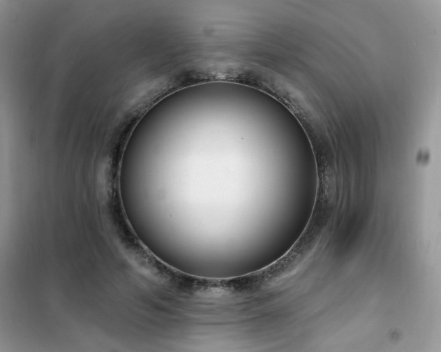 X0000102350594200808011206