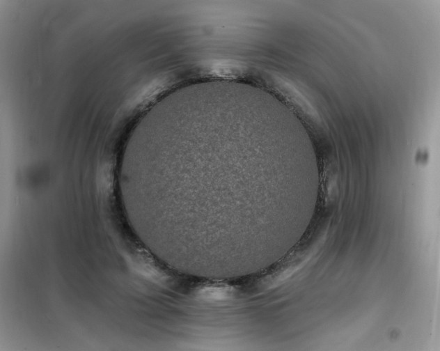 X0000102350595200808011206