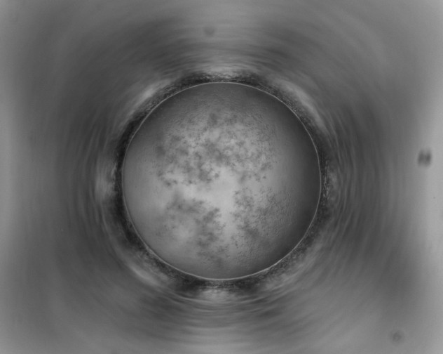 X0000102350596200808011206