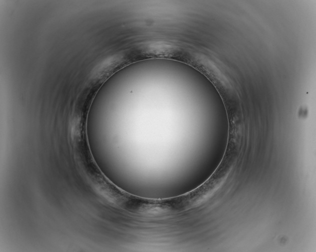 X0000102350597200808011206