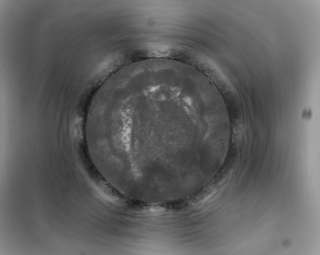 X0000102350598200808011206