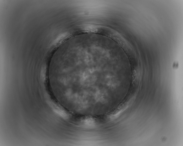 X0000102350600200808011206