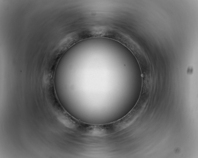 X0000102350601200808011206