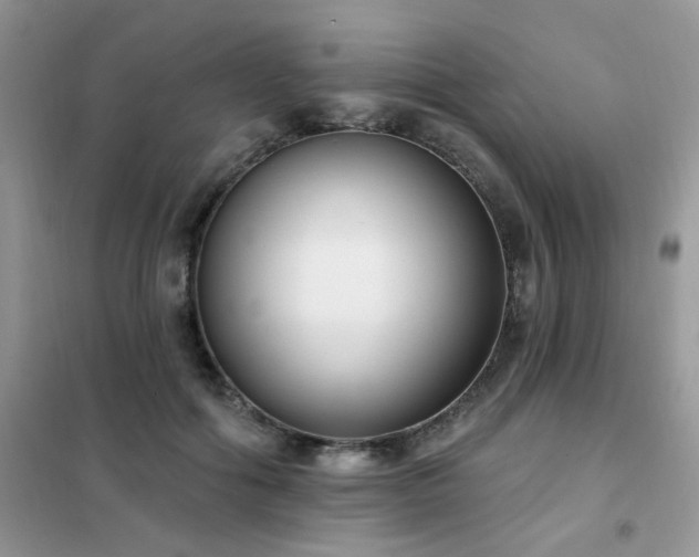 X0000102350602200808011205