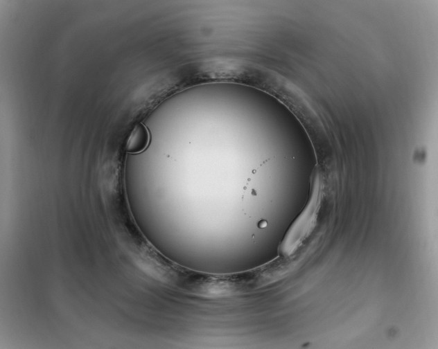 X0000102350604200808011205