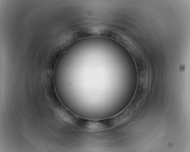 X0000102350605200808011205