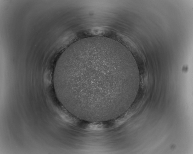 X0000102350606200808011205