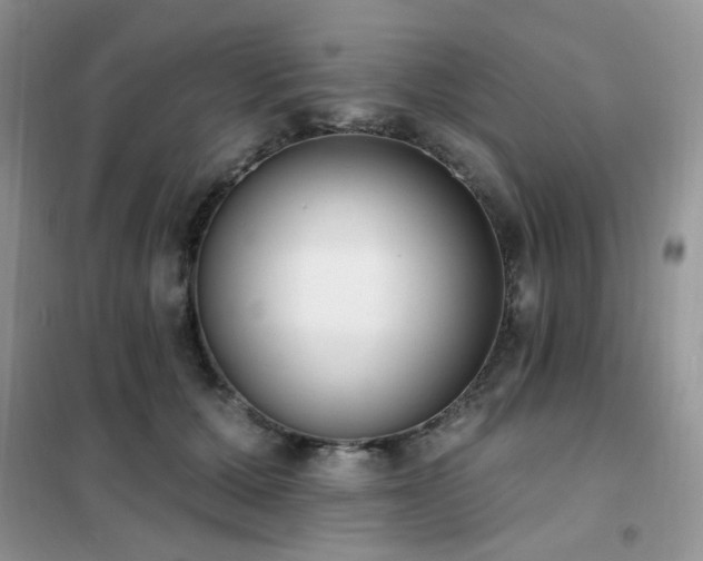 X0000102350607200808011205