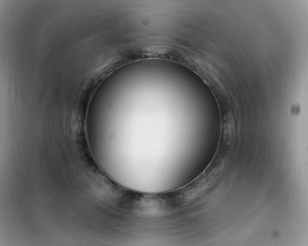 X0000102350608200808011205